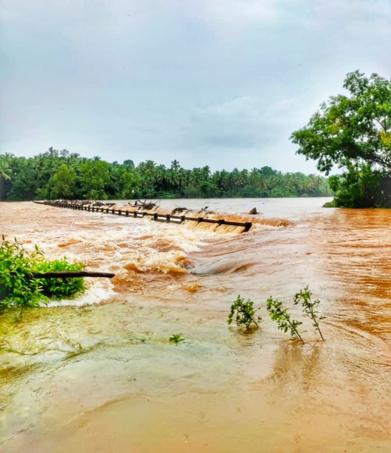 ಉಡುಪಿ ಜಿಲ್ಲೆಯಲ್ಲಿ ಮುಂದುವರೆದ ಮಳೆ: ನದಿಯ ನೀರಿನ ಮಟ್ಟ ಇಳಿಕೆ