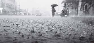 ಕರಾವಳಿಯಲ್ಲಿ ಇನ್ನೆರೆಡು ದಿನ ಮಳೆ: ಹವಾಮಾನ ಇಲಾಖೆ