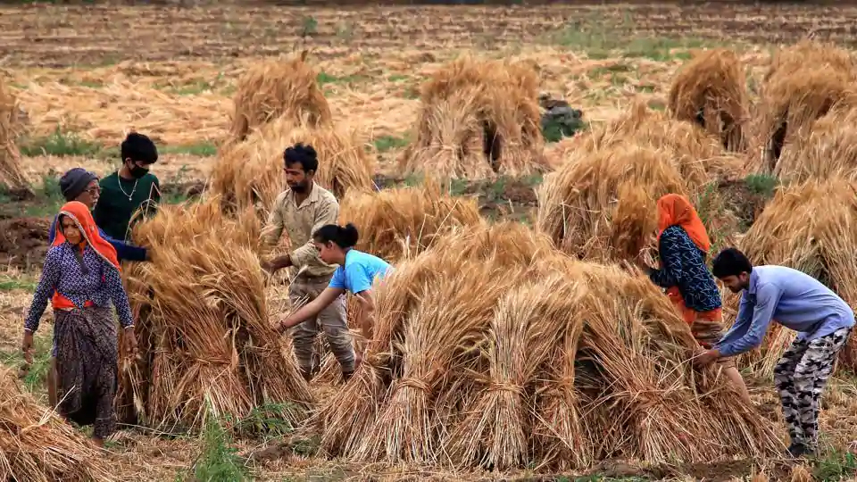 ಕಾರ್ಪೊರೇಟ್ ಕೈಗೆ ಕೃಷಿ: ಕೇಂದ್ರದ ಅಧ್ಯಾದೇಶಗಳ ವಿರುದ್ಧ 3 ರಾಜ್ಯಗಳ ರೈತರಿಂದ ಪ್ರತಿಭಟನೆ