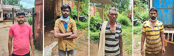 ಅಮಾಸೆಬೈಲು: 52 ಕೋಣಗಳ ಸಾಗಾಟ ಪತ್ತೆ; ನಾಲ್ವರ ಬಂಧನ