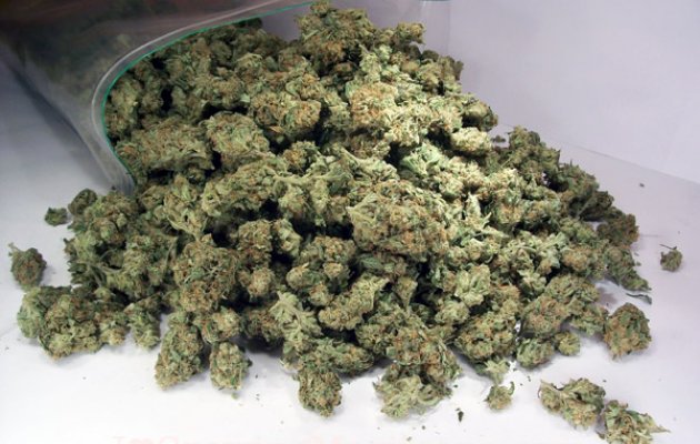 ನಿಷೇಧವಿದ್ದರೂ ಅವಧೂತರ ಆರಾಧನಾ ಕೇಂದ್ರಗಳಲ್ಲಿ ಪ್ರಸಾದದ ರೂಪದಲ್ಲಿ ಗಾಂಜಾ ಬಳಕೆ ?