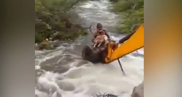 ಪ್ರವಾಹದಲ್ಲಿ ಸಿಲುಕಿದ್ದ ನಾಯಿಯನ್ನು ಜೀವದ ಹಂಗು ತೊರೆದು ರಕ್ಷಿಸಿದ ಹೋಂ ಗಾರ್ಡ್ ಮುಜೀಬುರ್ರಹ್ಮಾನ್