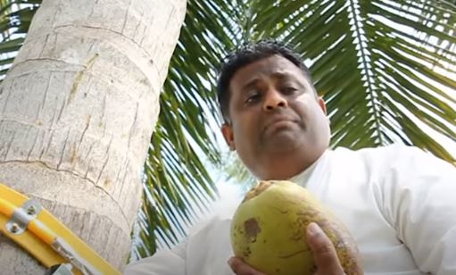 ಸಮಸ್ಯೆಯ ಬಗ್ಗೆ ಬೆಳಕು ಚೆಲ್ಲಲು ತೆಂಗಿನ ಮರ ಏರಿ ಸುದ್ದಿಗೋಷ್ಟಿ ನಡೆಸಿದ ಸಚಿವ!