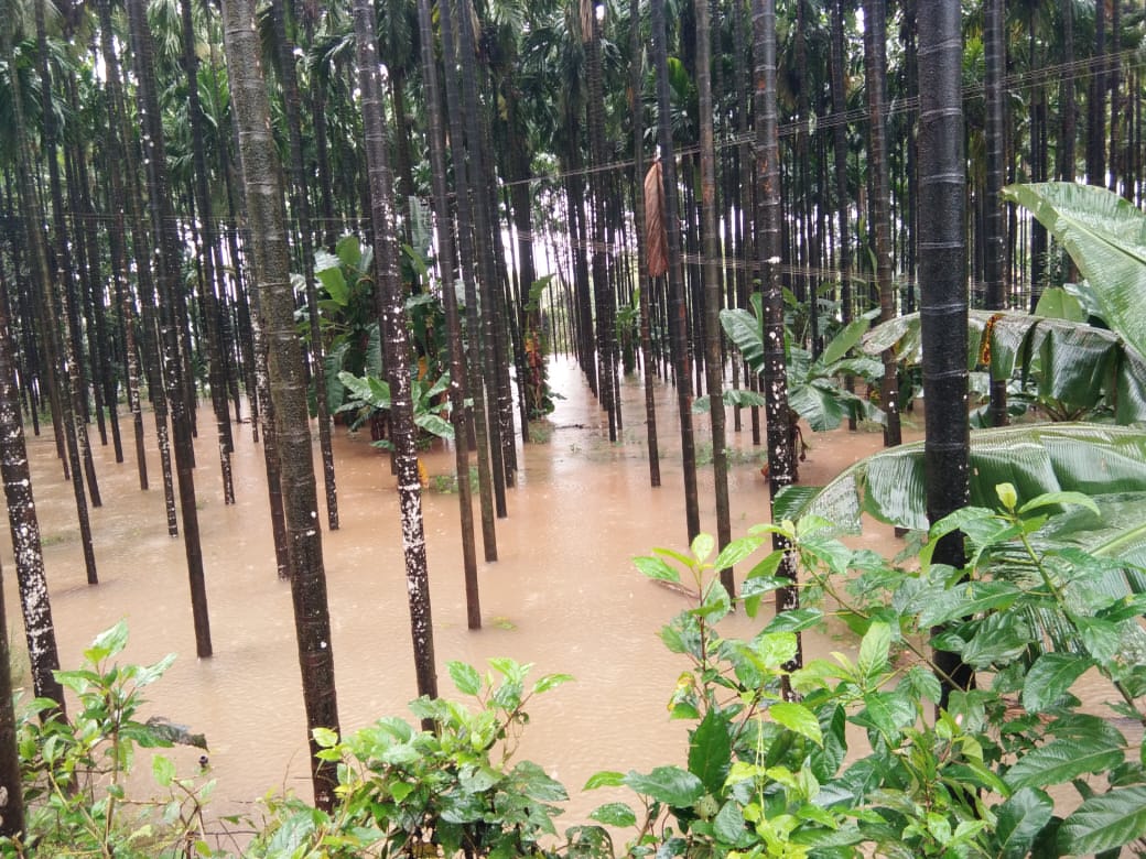ಬೆಳ್ತಂಗಡಿ: ನದಿಗಳಲ್ಲಿ ನೀರಿನ ಮಟ್ಟ ಏರಿಕೆ
