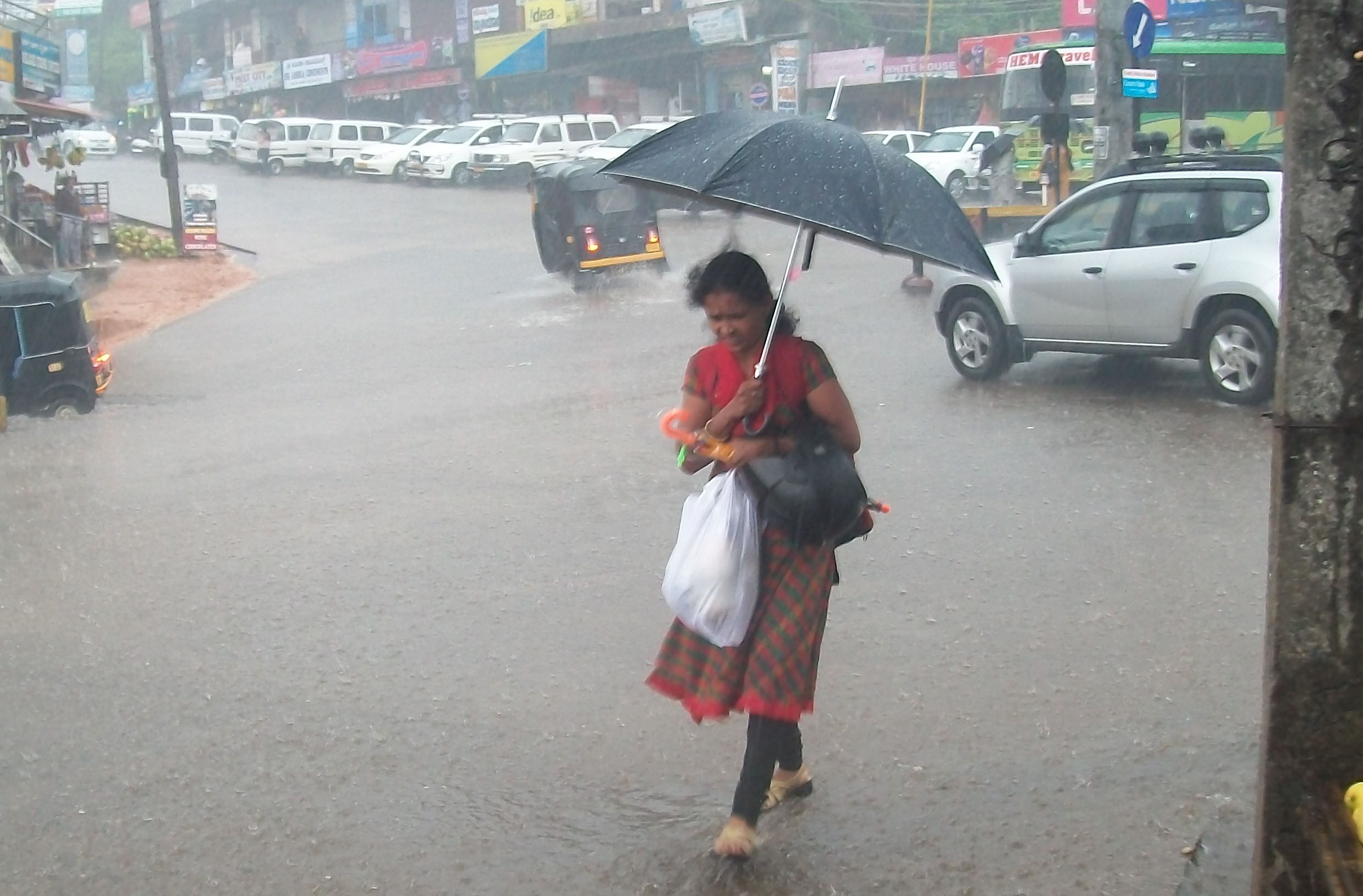 ಧಾರಾಕಾರ ಮಳೆ: ಕೊಡಗಿನ ನದಿಗಳಲ್ಲಿ ನೀರಿನ ಮಟ್ಟ ಏರಿಕೆ