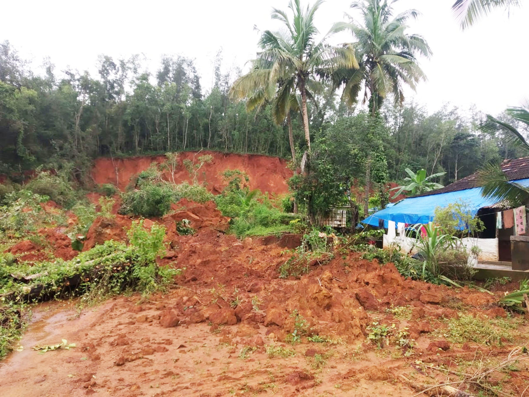 ಕೊಳಲಗಿರಿ ಪರಾರಿ ರಕ್ಷಿತಾರಣ್ಯದಲ್ಲಿ ಭೂಕುಸಿತ