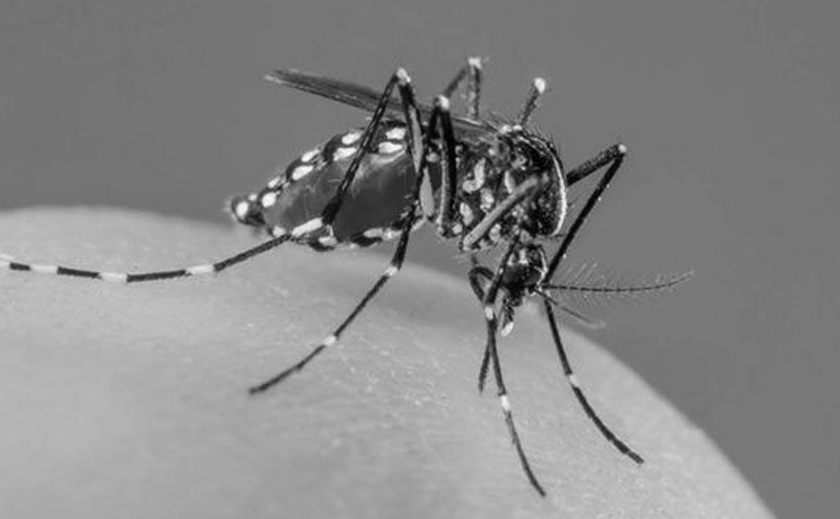 ಭಾರತಕ್ಕೆ ಚೀನಾದ ಹೊಸ ಮಾರಣಾಂತಿಕ ವೈರಸ್‌ನ ಭೀತಿ