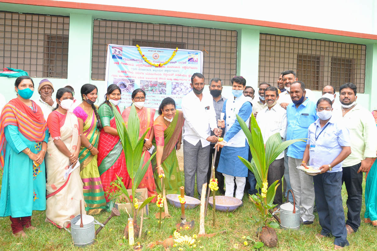 ನರೇಗಾ ಯೋಜನೆಯಡಿ ಬಚ್ಚಲು ಗುಂಡಿ, ಪೌಷ್ಟಿಕ ತೋಟ ನಿರ್ಮಾಣಕ್ಕೆ ಸಹಾಯಧನ: ಸಚಿವ ಸಿ.ಟಿ. ರವಿ