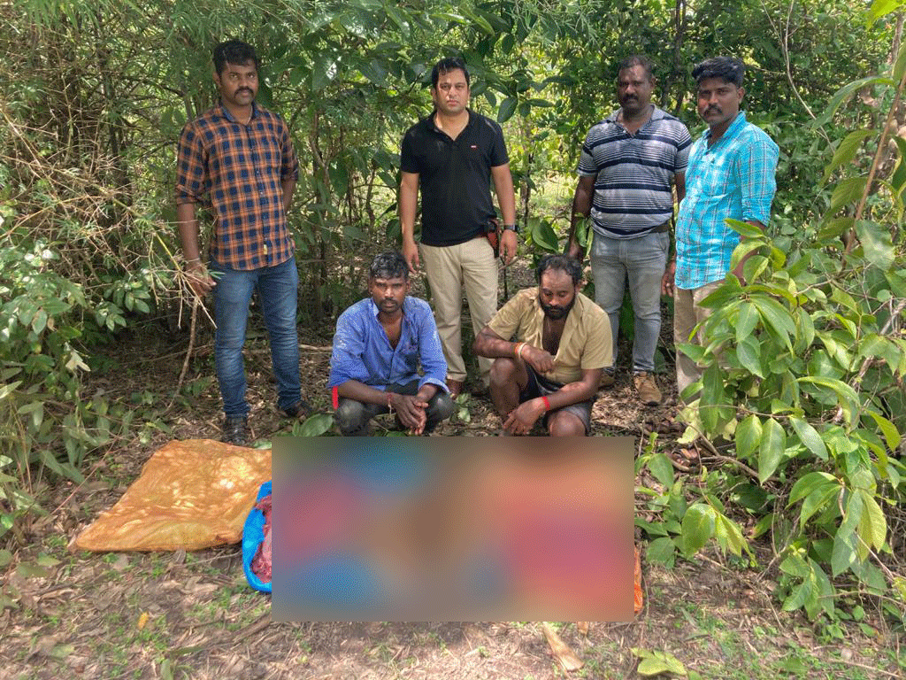 ಜಿಂಕೆ ಬೇಟೆ: ಇಬ್ಬರ ಬಂಧನ