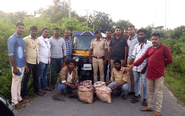 103 ಕೆಜಿ ಜಿಂಕೆ ಮಾಂಸ ಸಾಗಾಟ: ಇಬ್ಬರು ಆರೋಪಿಗಳ ಸೆರೆ