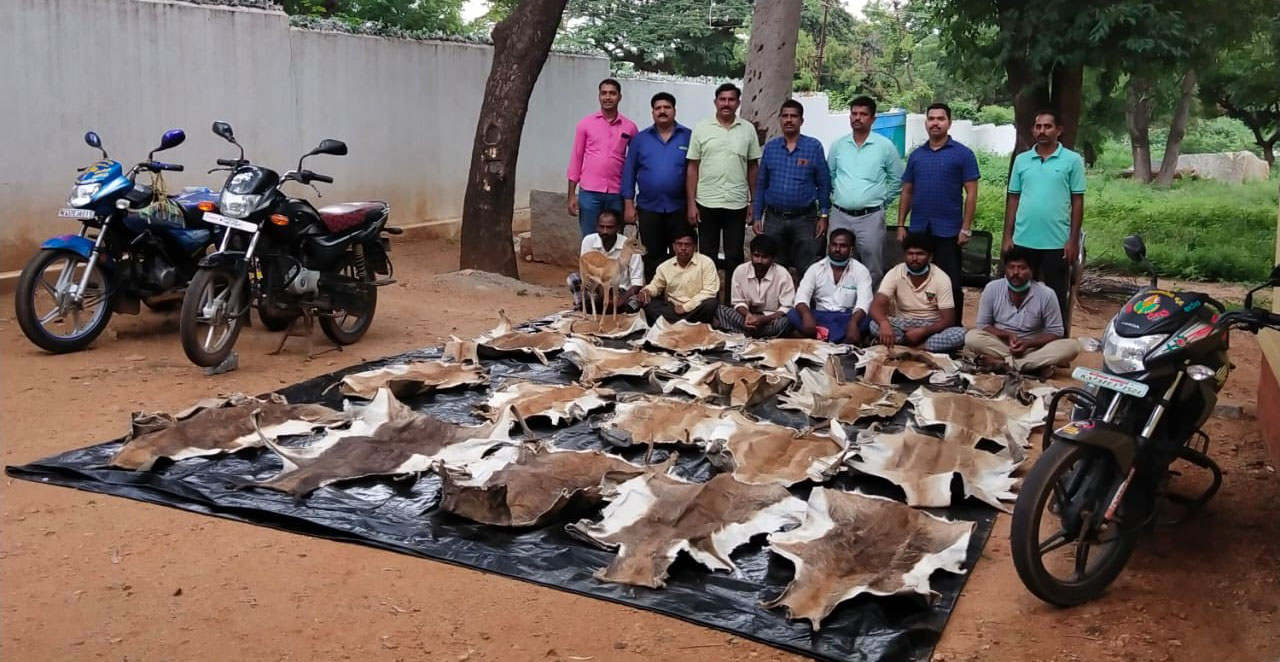 ಕೃಷ್ಣಮೃಗದ ಚರ್ಮ ಮಾರಾಟ ದಂಧೆ : ಆರು ಮಂದಿ ಸೆರೆ