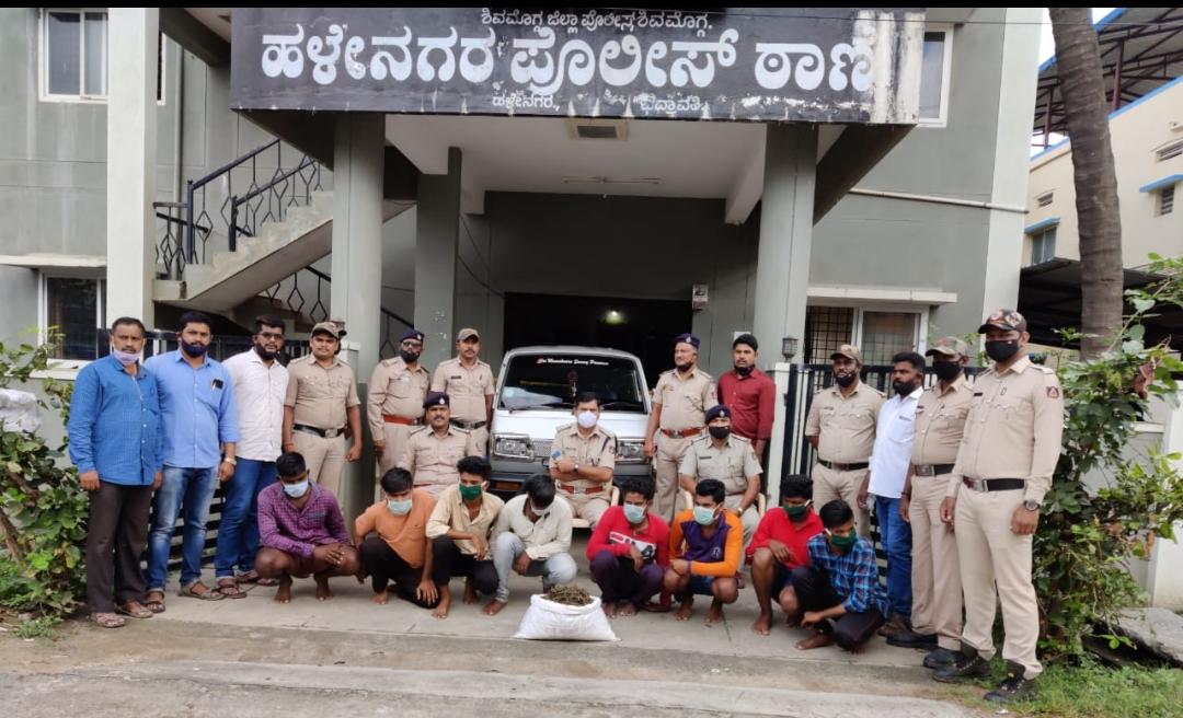 ಶಿವಮೊಗ್ಗ: ಎರಡು ಲಕ್ಷ ರೂ. ಮೌಲ್ಯದ ಗಾಂಜಾ ಜಪ್ತಿ; ಎಂಟು ಮಂದಿ ಬಂಧನ