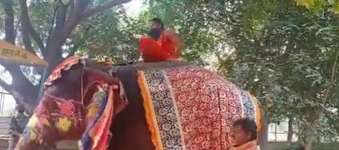 ಆನೆ ಮೇಲೆ ಕುಳಿತು ಯೋಗ ಮಾಡಲು ಹೋಗಿ ಬಿದ್ದ ರಾಮ್ ದೇವ್!