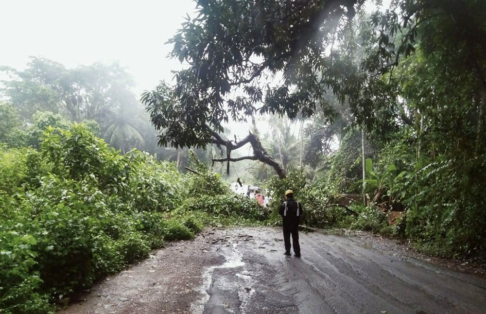 ಉಡುಪಿ ಜಿಲ್ಲೆಯಾದ್ಯಂತ ಮುಂದುವರೆದ ಮಳೆ : ಪರ್ಕಳದಲ್ಲಿ ರಾ.ಹೆದ್ದಾರಿಗೆ ಉರುಳಿದ ಮರ