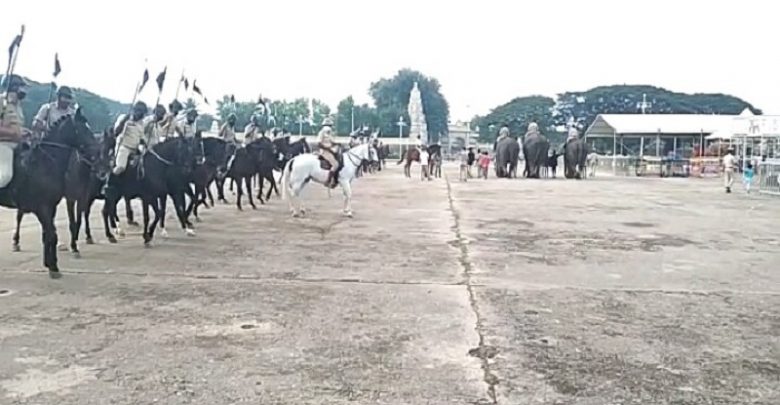 ಜಂಬೂಸವಾರಿ ರಿಹರ್ಸಲ್ ವೇಳೆ ಬೆಚ್ಚಿದ ಅಶ್ವಪಡೆ: ಕೆಳಕ್ಕೆ ಬಿದ್ದ ಪೊಲೀಸ್ ಸಿಬ್ಬಂದಿ