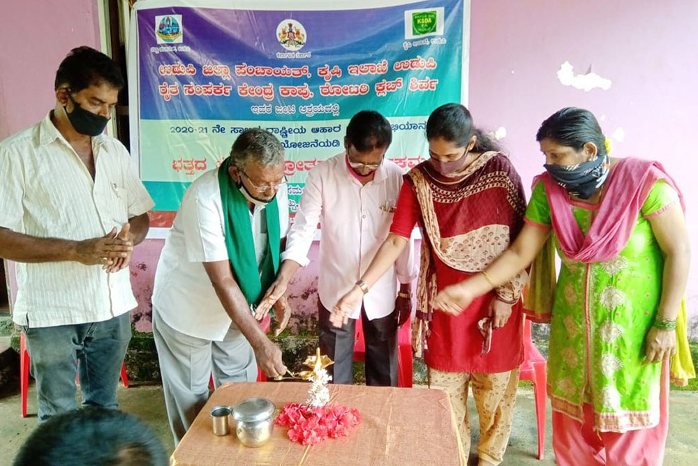 ಶಿರ್ವದಲ್ಲಿ ಭತ್ತದ ಬೆಳೆ ಕ್ಷೇತ್ರೋತ್ಸವಕ್ಕೆ ಚಾಲನೆ