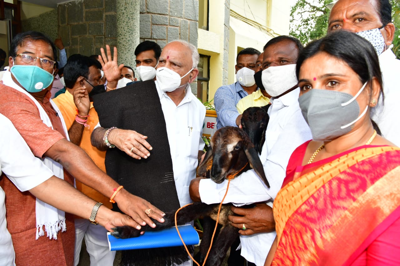 ಕಾಡುಗೊಲ್ಲ ಅಭಿವೃದ್ಧಿ ನಿಗಮ ಸ್ಥಾಪಿಸಿದ ಸಿಎಂಗೆ ಕರಿಕಂಬಳಿ, ಕುರಿ ಮರಿಗಳ ಉಡುಗೊರೆ