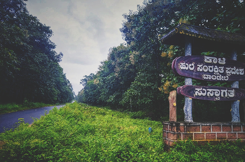 ಹೆಚ್ಚುತ್ತಿರುವ ಪ್ರವಾಸಿಗರ ದಟ್ಟಣೆ: ಪ್ರವಾಸಿ ತಾಣಗಳಲ್ಲಿ ಕೊರೋನ ಹರಡುವ ಭೀತಿ !