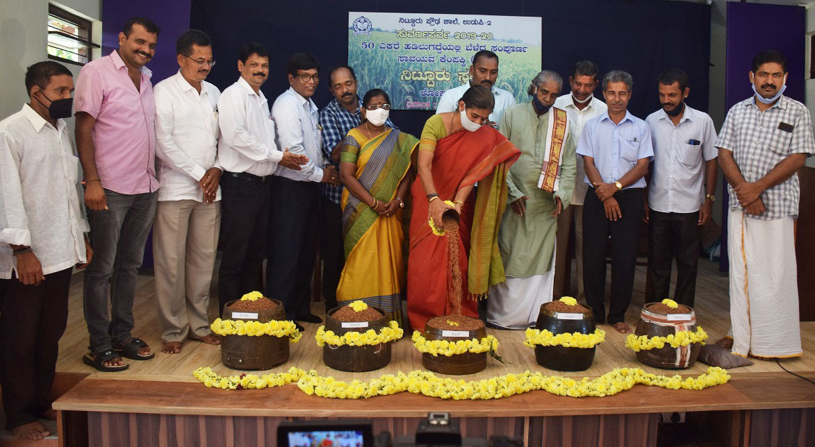 ಹಡಿಲು ಬಿದ್ದ ಗದ್ದೆಯಲ್ಲಿ ಬೆಳೆದ ಸಾವಯವ ಕೆಂಪಕ್ಕಿ ಲೋಕಾರ್ಪಣೆ