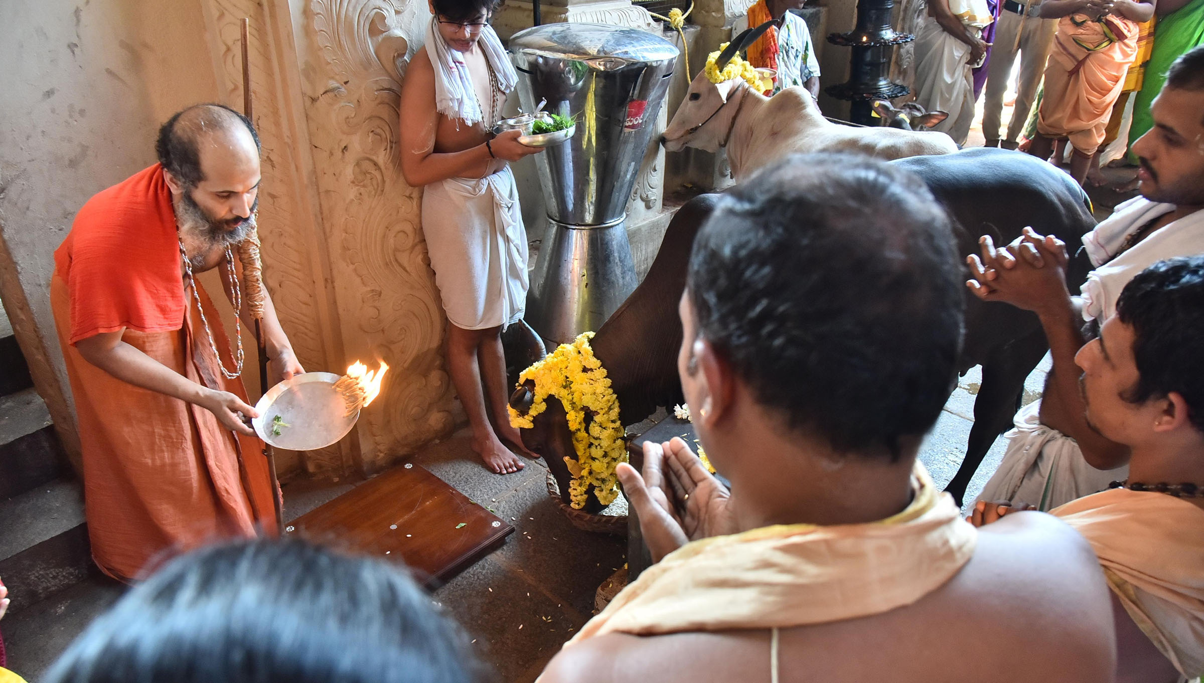 ದೀಪಾವಳಿ ಬಲಿಪಾಡ್ಯ ಪ್ರಯುಕ್ತ ಶ್ರೀಕೃಷ್ಣ ಮಠದಲ್ಲಿ ಗೋಪೂಜೆ