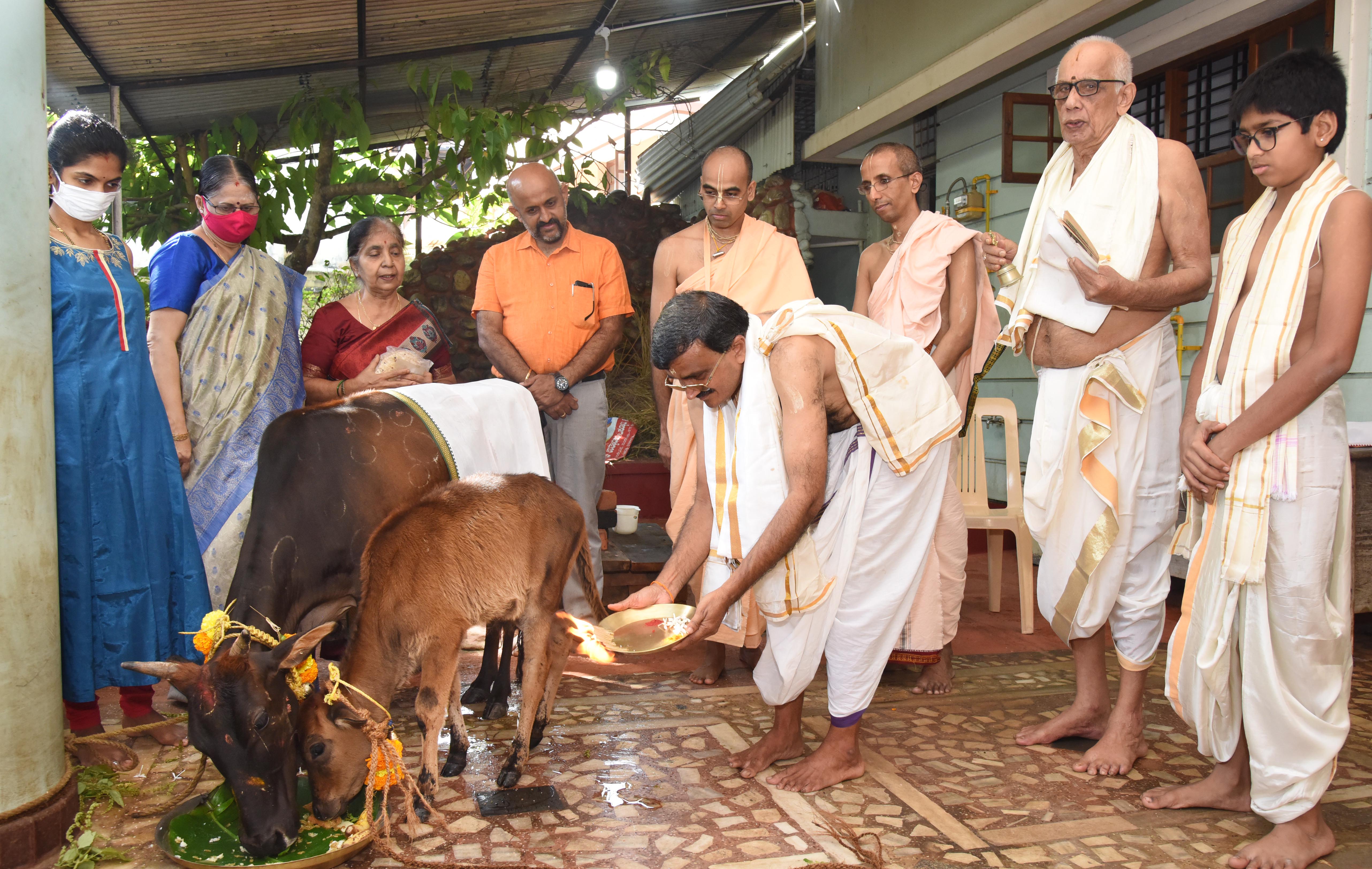 ಕಲ್ಕೂರ ಪ್ರತಿಷ್ಠಾನದಿಂದ ಗೋ ಪೂಜೆ ಆಚರಣೆ
