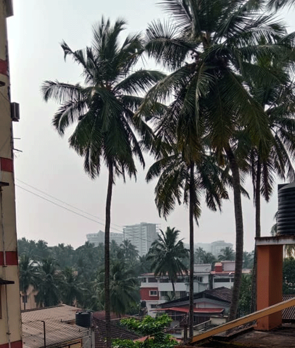 ಮಂಗಳೂರಲ್ಲಿ ಹೊಗೆಮಂಜು ಕವಿದ ವಾತಾವರಣ!