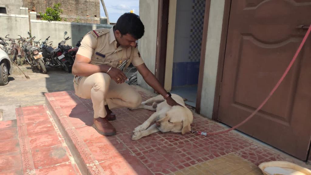 ಮಾಲಕನಿಂದ ತಪ್ಪಿಸಿಕೊಂಡ ನಾಯಿಗೆ ಪೊಲೀಸ್ ಠಾಣೆಯಲ್ಲಿ ಆತಿಥ್ಯ