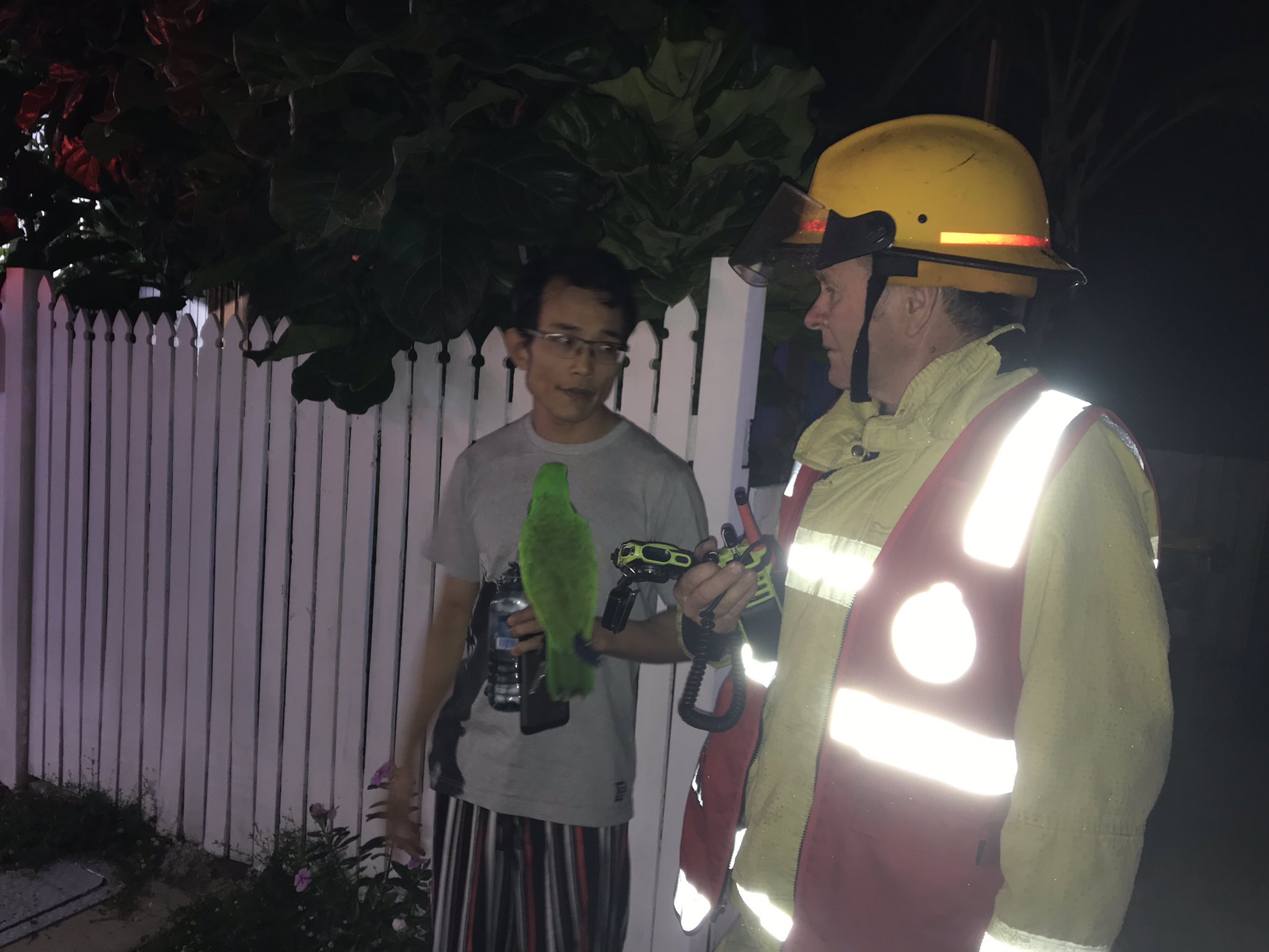 ಮನೆಗೆ ಬೆಂಕಿ ಬಿದ್ದಾಗ ಮಾಲಕನನ್ನು ರಕ್ಷಿಸಿದ ಗಿಳಿ