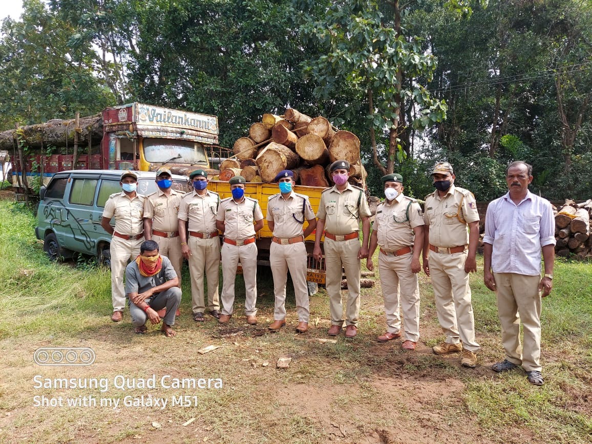 ಪುಂಜಾಲಕಟ್ಟೆ: ಮರ ಕಡಿದು ಅಕ್ರಮ ಸಾಗಾಟ; ಆರೋಪಿ ಸಹಿತ ಲಾರಿ ವಶ