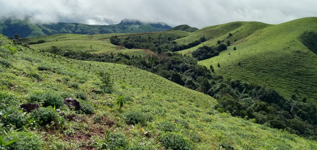 ಮಾಂದಲಪಟ್ಟಿ ಇನ್ನು ಪ್ಲಾಸಿಕ್ ಮುಕ್ತ ತಾಣ: ಅರಣ್ಯ ಇಲಾಖೆಯಿಂದ ಕ್ರಮ