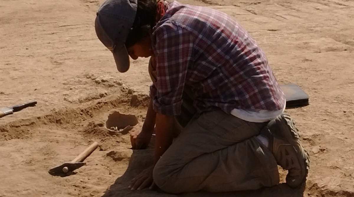 ಸಿಂಧೂ ನಾಗರಿಕತೆಯ ಜನರು ಹೆಚ್ಚಾಗಿ ಮಾಂಸ ಸೇವಿಸುತ್ತಿದ್ದರು: ಹೊಸ ಅಧ್ಯಯನದಿಂದ ಬಹಿರಂಗ