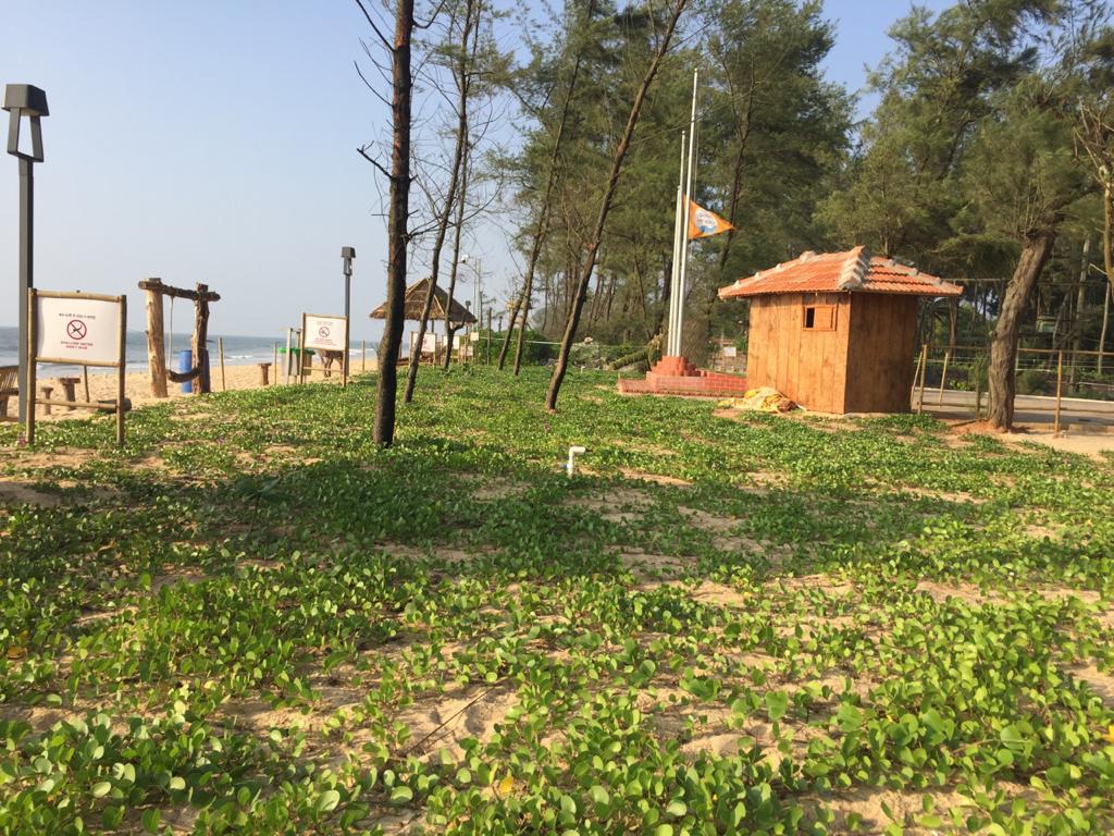 ಡಿ.17ರಿಂದ ಪಡುಬಿದ್ರೆ ಬ್ಲೂಫ್ಲಾಗ್ ಬೀಚ್ ಪ್ರವಾಸಿಗರ ಪ್ರವೇಶಕ್ಕೆ ಮುಕ್ತ