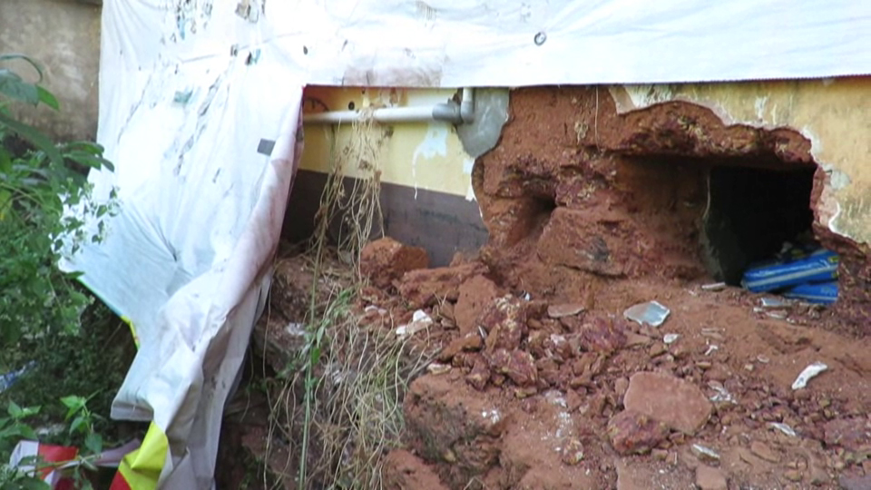 ಕಾಸರಗೋಡು : ಮೆಡಿಕಲ್ ಶಾಪ್, ತರಕಾರಿ ಅಂಗಡಿಯಿಂದ ಕಳವು