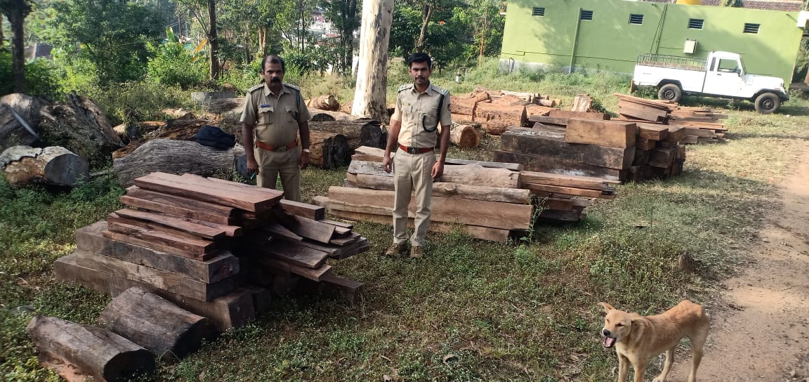 ಅಕ್ರಮವಾಗಿ ಸಂಗ್ರಹಿಸಿಟ್ಟ ಲಕ್ಷಾಂತರ ರೂ. ಮೌಲ್ಯದ ಮರದ ತುಂಡುಗಳು ವಶ