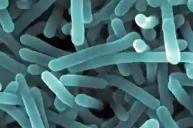 ಕೇರಳ: ಶಿಗೆಲ್ಲಾ ಸೋಂಕಿಗೆ ಬಾಲಕ ಬಲಿ; ಹಲವರು ಆಸ್ಪತ್ರೆಗೆ ದಾಖಲು