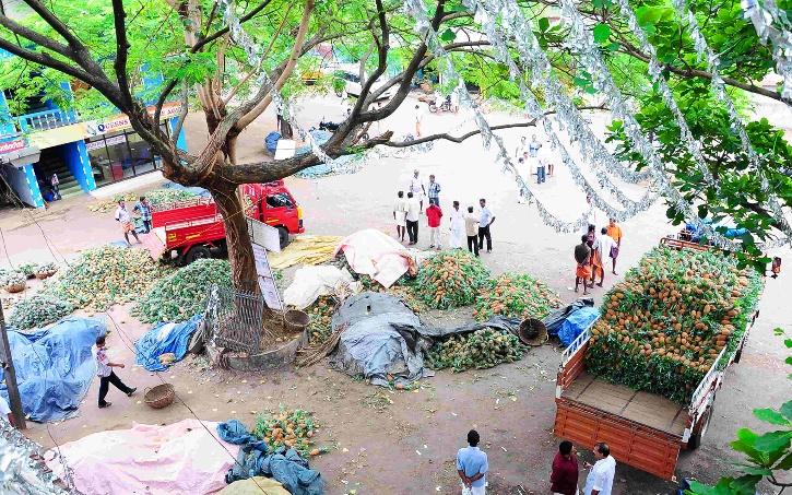 ಪ್ರತಿಭಟನಾನಿರತ ರೈತರಿಗೆ ಟ್ರಕ್ ತುಂಬಾ ಪೈನಾಪಲ್ ಗಳನ್ನು ಕಳುಹಿಸಿದ ಕೇರಳದ ರೈತರು