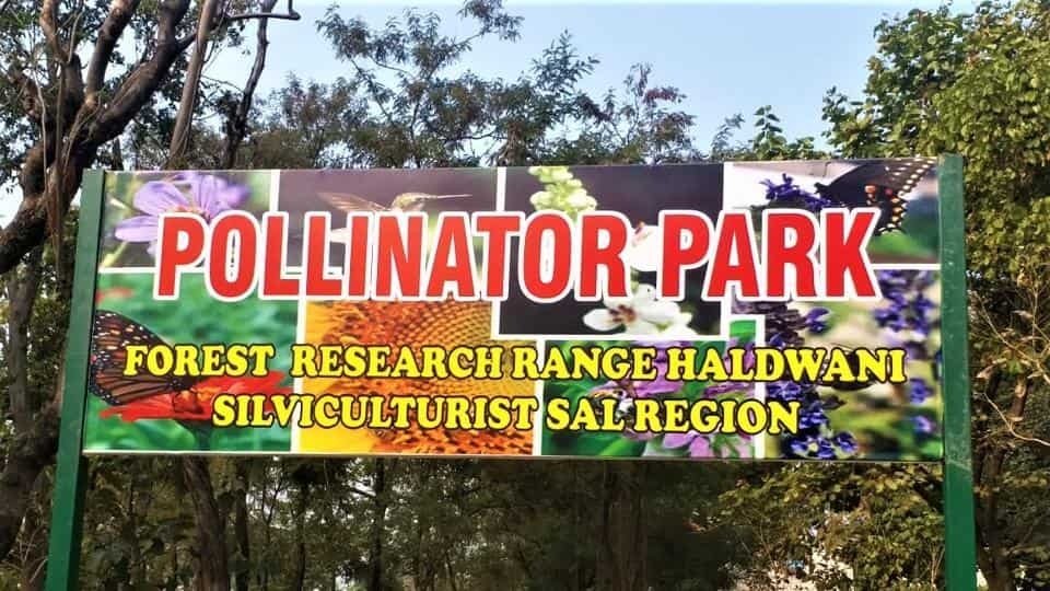 ಉತ್ತರಾಖಂಡದ ಹಲ್ದವಾನಿಯಲ್ಲಿ ದೇಶದ ಮೊದಲ ಪರಾಗಸ್ಪರ್ಶಕ ಪಾರ್ಕ್