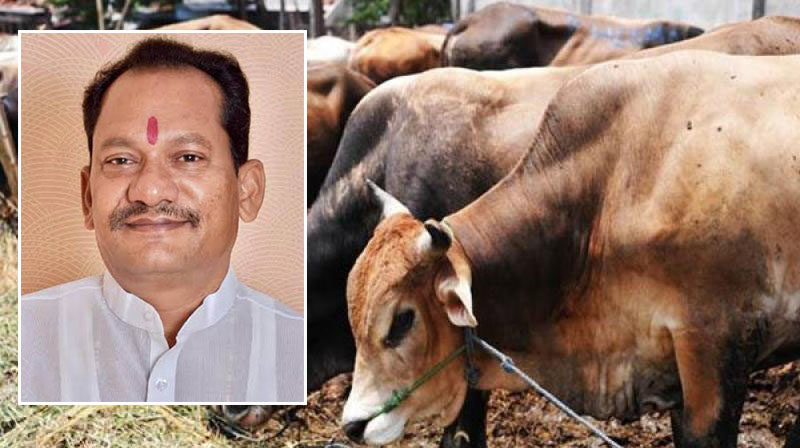 ಗೋಹತ್ಯೆ ನಿಷೇಧ: ರಾಜ್ಯದಲ್ಲಿ ಕಠಿಣ ಕಾನೂನು ಜಾರಿಗೆ ಇಲಾಖೆ ಸಿದ್ಧ; ಸಚಿವ ಪ್ರಭು ಚೌಹಾಣ್