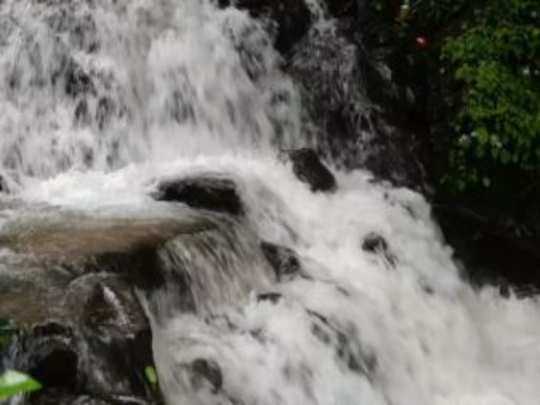 ಬೆಳ್ತಂಗಡಿ: ಬಂಗಾರ ಪಲ್ಕೆ ಜಲಪಾತದಿಂದ ಬಿದ್ದು ಯುವಕ ನಾಪತ್ತೆ