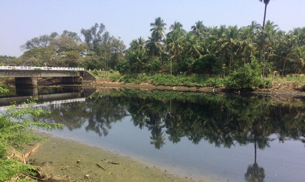 ಕೊಳಚೆಯಿಂದ ಕಪ್ಪು ಬಣ್ಣಕ್ಕೆ ತಿರುಗಿದ ಕಲ್ಮಾಡಿ ಹೊಳೆ: ಸ್ಥಳೀಯರ ಆಕ್ರೋಶ