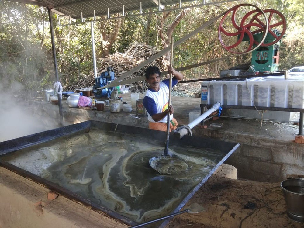 ಬ್ರಹ್ಮಾವರ ಸಕ್ಕರೆ ಕಾರ್ಖಾನೆಯಲ್ಲಿ ಪ್ರತಿದಿನ 400 ಕೆ.ಜಿ. ಬೆಲ್ಲ ತಯಾರಿ