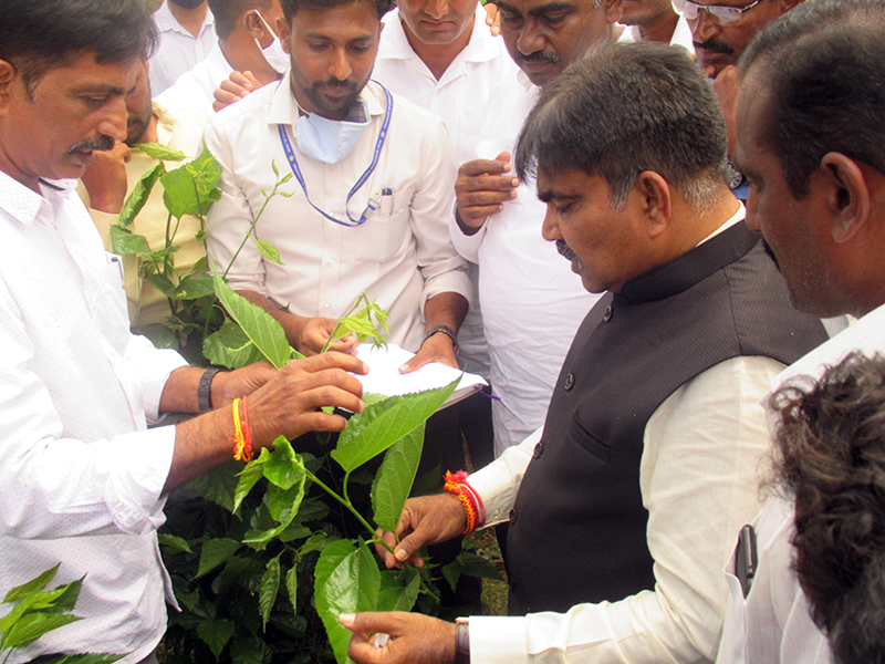 ತೋಟಗಾರಿಕೆ ಹಾಗೂ ರೇಷ್ಮೆ ಬೆಳೆಯನ್ನು ಸುಧಾರಿಸಲು ವಿಚಾರ ಸಂಕಿರಣ: ಸಚಿವ ಆರ್.ಶಂಕರ್