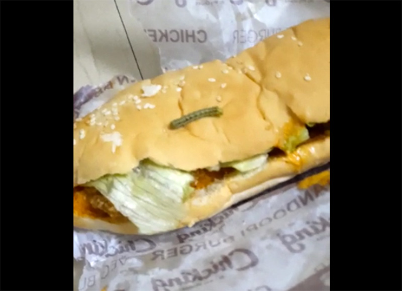 ‘ಚಿಕ್‌ಕಿಂಗ್’ ಸಂಸ್ಥೆಯ ಆಹಾರದಲ್ಲಿ ಜೀವಂತ ಹುಳು ! : ಆಹಾರ ಖಾದ್ಯ ಪಾರ್ಸೆಲ್ ಪಡೆದು ಆತಂಕಕ್ಕೀಡಾದ ಗ್ರಾಹಕರು