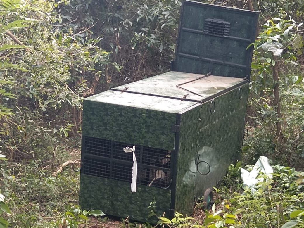 ಪುತ್ತೂರಿನ ಪುರುಷರಕಟ್ಟೆಯಲ್ಲಿ ಚಿರತೆ ಪ್ರತ್ಯಕ್ಷ ? ಕಾರ್ಯಾಚರಣೆಗಿಳಿದ ಅರಣ್ಯ ಇಲಾಖೆ