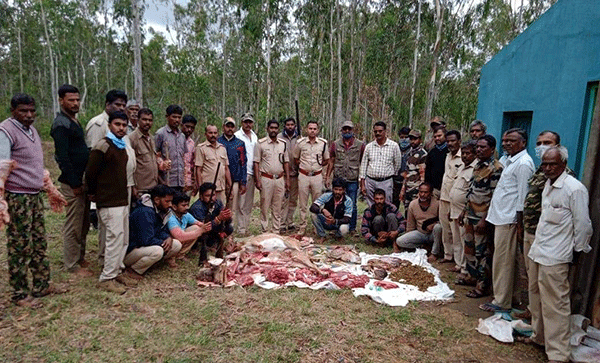 ಬಂಡಿಪುರ ಅರಣ್ಯದಲ್ಲಿ-ಜಿಂಕೆ-ಬೇಟೆ: ಆರು ಮಂದಿ ಆರೋಪಿಗಳ ಬಂಧನ