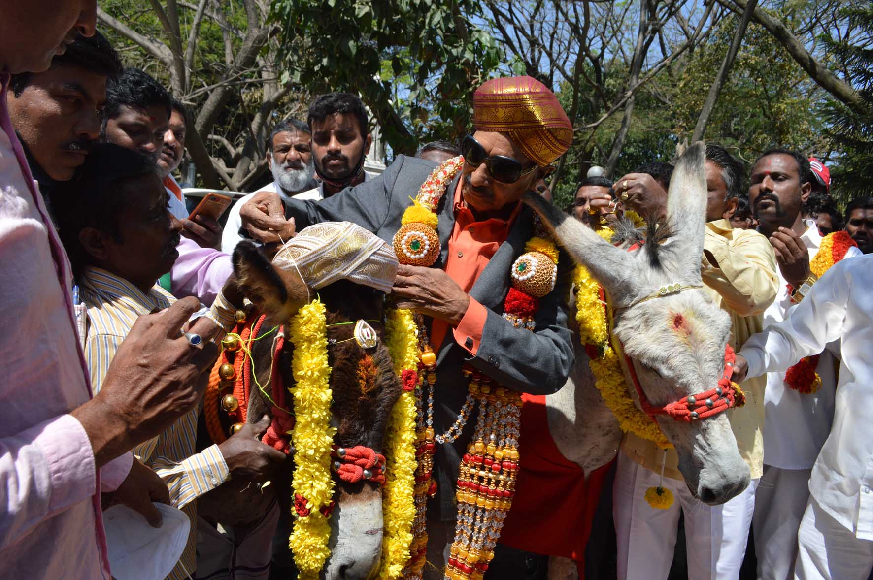 ಕತ್ತೆಗಳಿಗೆ ಮದುವೆ ಮಾಡಿಸಿ ಪ್ರೇಮಿಗಳ ದಿನಾಚರಣೆ ಆಚರಿಸಿದ ವಾಟಾಳ್ ನಾಗರಾಜ್
