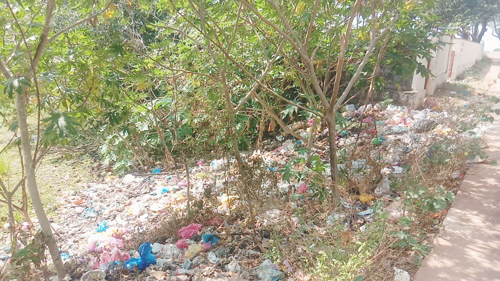 ಗಂಗೊಳ್ಳಿ: ಕಸದಿಂದ ತುಂಬುತ್ತಿದೆ ಮಡಿವಾಳ ಕೆರೆ