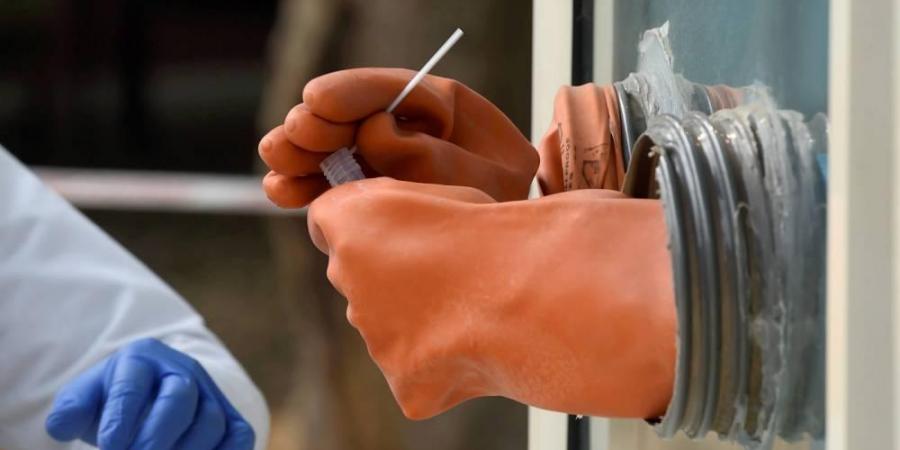 ಹೆಚ್ಚಿನ ಬದಲಾವಣೆಯಿಲ್ಲದೆ ಬಾವಲಿಯಿಂದ ಮಾನವ ದೇಹಕ್ಕೆ ಹರಡಿದ ಕೊರೋನ ವೈರಸ್: ಸಂಶೋಧನೆ