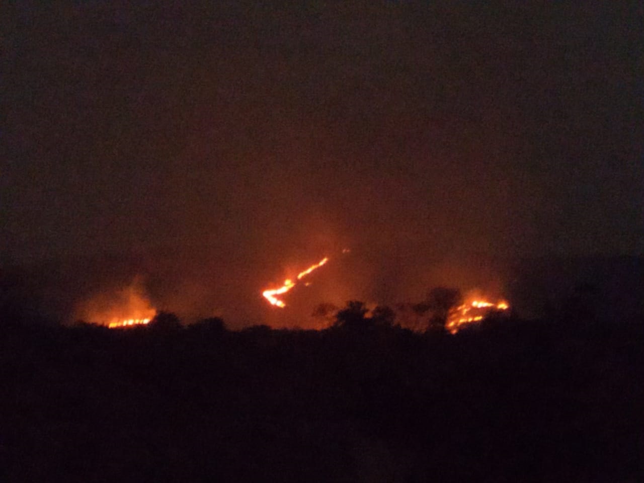 ಗುಂಡ್ಲುಪೇಟೆ ಬಫರ್ ಝೋನ್ ಅರಣ್ಯದಲ್ಲಿ ಬೆಂಕಿ: ನೂರಾರು ಎಕರೆ ಪ್ರದೇಶ ನಾಶ