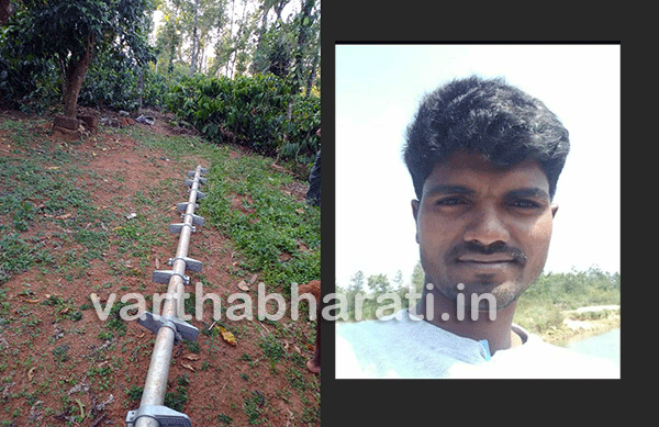 ಕರಿಮೆಣಸು ಕೊಯ್ಯುತ್ತಿದ್ದ ವೇಳೆ ವಿದ್ಯುತ್ ಆಘಾತ: ಯುವಕ ಮೃತ್ಯು